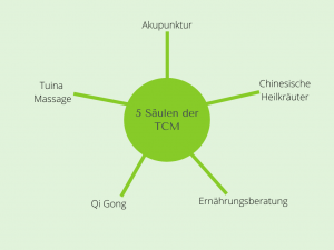 TCM München 5 Säulen