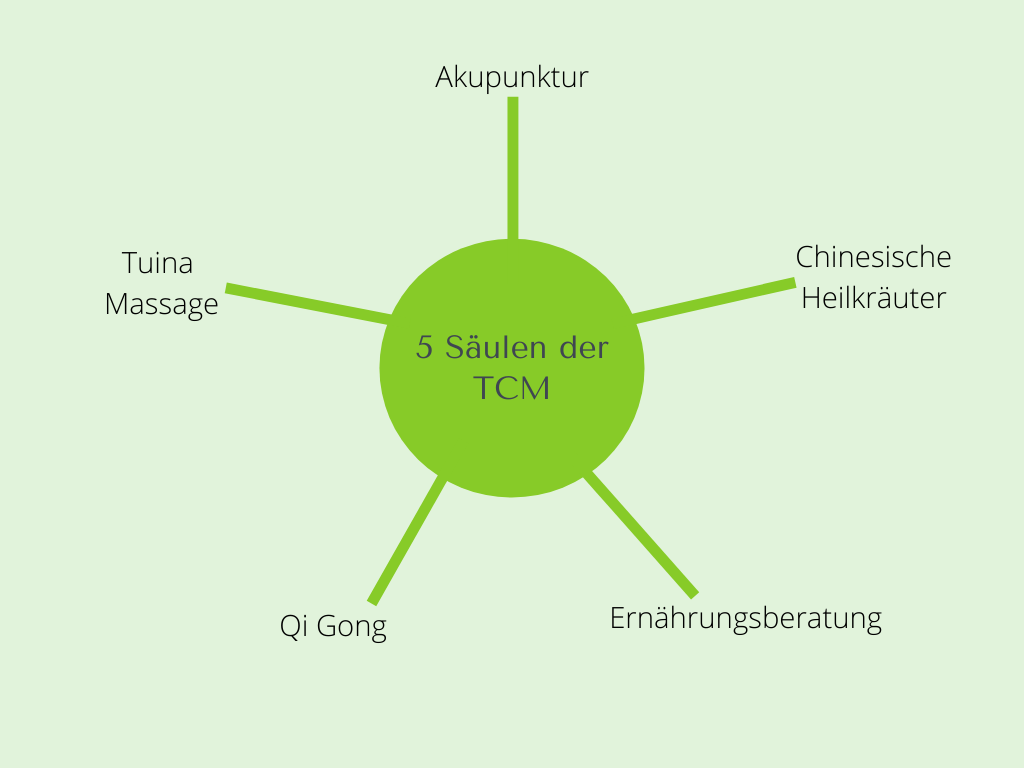 TCM München 5 Säulen